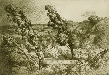 A vihar
