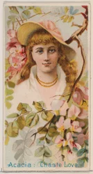 Acacia: Chaste Love, a Virágos szépségek és a Virágok nyelve című sorozatból N75 Duk..., 1892.