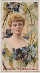 Clematis: Mentális szépség, a Virágszépségek és a Virágok nyelve sorozatból N75 for..., 1892.