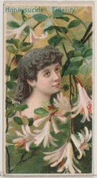 Honeysuckle: Fidelity, a Floral Beauties and Language of Flowers N75 for D... sorozatból, 1892.