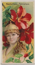 Nasturtium: Patriotism, a Virágok szépségei és a Virágnyelv N75 sorozatból, ..., 1892.