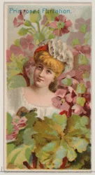 Primrose: Flört, a Virágszépségek és a Virágok nyelve című sorozatból N75 for Du..., 1892.