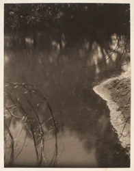 Tanulmány vízben tükröződő fákról, 1925-34 körül (platinanyomat)