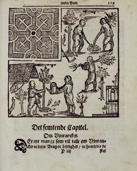 Fák ültetése, Johann van der Groen A holland kertész című művéből, 1699-ben