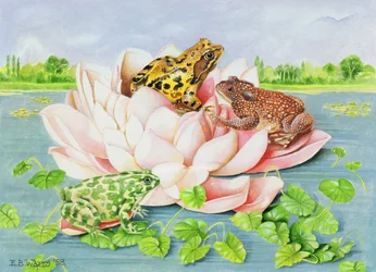 Tavirózsa, 1998 (akril papíron)