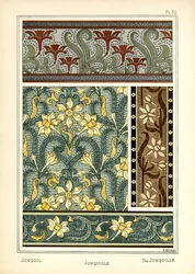 A Jonquil