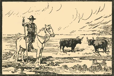 „Camargue-i ​​táj – Camargue-i ​​kilátás”, 1920-as évek.