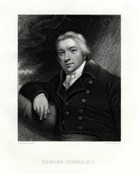 Edward Jenner angol vidéki orvos, XIX.