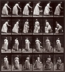 Állatmozgás, 265-ös tábla: sorozat egy ülő nővel, 1887 (fotomechanikai nyomat)