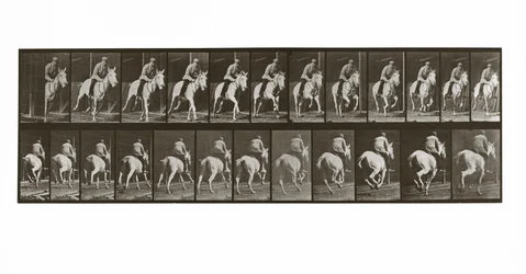 Vágtázó ló lovassal, 635-ös tábla az Animal Locomotion-tól, 1887