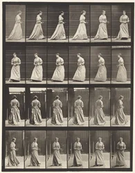 100. tábla Forduló és felszálló lépcsők, 1885