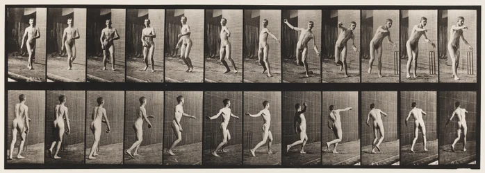 289. tányér.Tücsök; Kerekkaros bowling, 1885