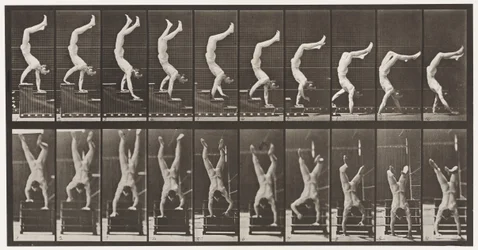 368. tábla. Acrobat, Descending Stairs on Hands