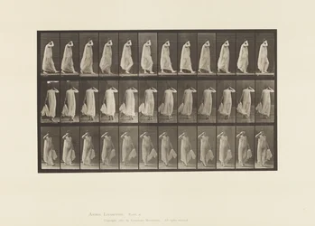 37. tábla. Sétáló, bal kézzel tartó ruha, jobb kéz az arcnál, 1872-1885