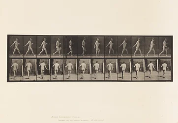 389. tábla Gazda, szórványmag, 1872-1885