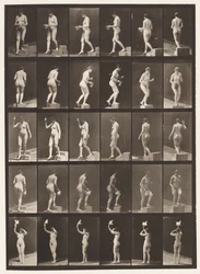 525. A. tábla, leszálló lépcső; B, Ascending Step;, 1872-1885