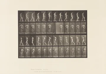 548. tábla.Laterális szklerózis; A,B, Séta, 1885