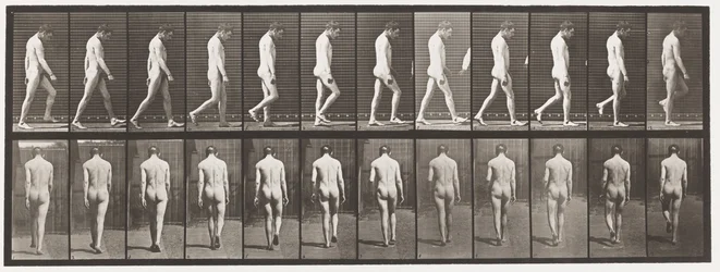 549. tábla.Epilepszia; Séta, 1885