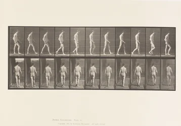 554. tábla.Mozgásszervi ataxia; Séta, 1885