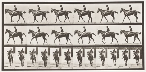 580. tábla.Séta; Nyereg; Telivér Bay Mare Annie G., 1885