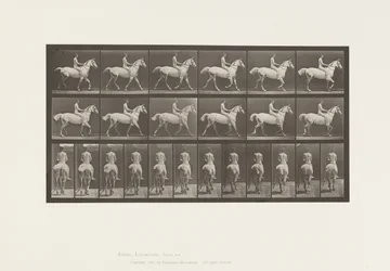 602. tányér.Ügető;Mezíthátú; Lovas, 43, akt; Világosszürke Horse Smith, 1885