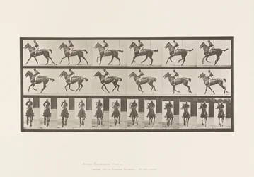 tábla 621. Canter; Nyereg; Telivér Bay Mare Annie 6
