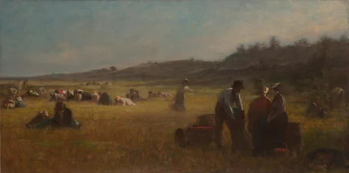 Tőzegáfonya-szedők