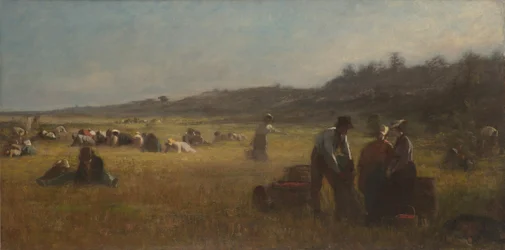 Áfonyaszedők, 1878-79 körül