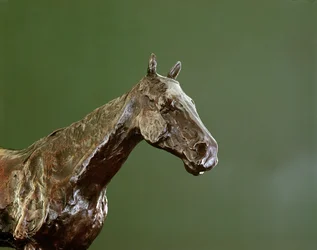 Lófej (bronz) (335585 részlet)