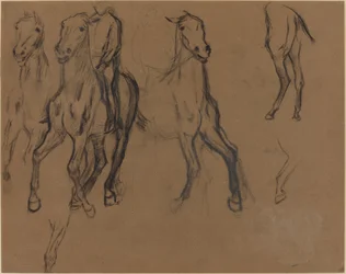 Study of Horses, 1886 körül (szén és grafit barna papíron)