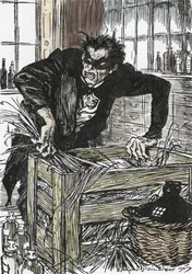 Dr. Jekyll kétségbeesetten keresi a porokat, amelyek lehetővé teszik számára, hogy megzavarja Mr. Hyde karakterét, Illusztráció: Edmund Joseph Sullivan (1869-1933) a L