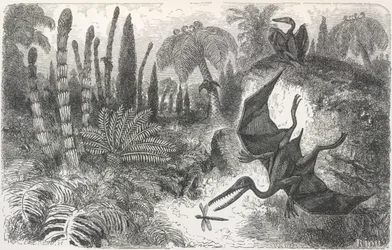 „A Liasic korszak tája”. Pterodactilt ábrázoló illusztráció