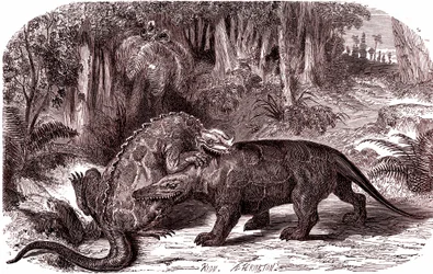 Az Iguanodon és a Megalosaurus (metszet)