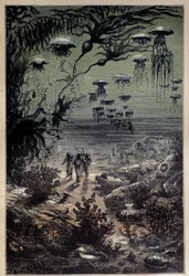 Víz alatti padló. Illusztráció Edouard Riou (1833-1900) Jules Verne (1828-1905) „Húszezer liga a tenger alatt” című regényéhez, 19. századi magángyűjtemény