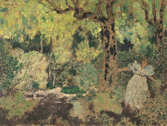 Misia az erdőben, 1897-1899