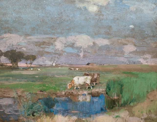 Suffolk legelők