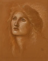 Egy nő feje, 1890