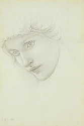 Tanulmány a sellő fejéhez, 1885