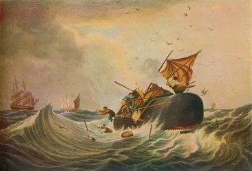 Déli-tengeri bálnahalászat, 1836