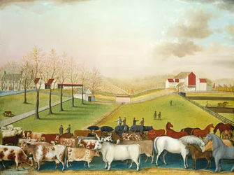 A Cornell Farm