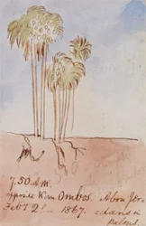 Szemben Kom Ombos Abu Jer