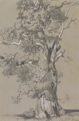 Parham, 1834. október 13