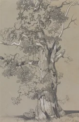 Parham, 1834. október 13.