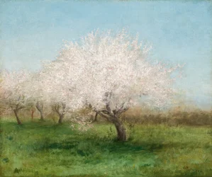 Almafák a réten 1890 (Olaj, vászon)