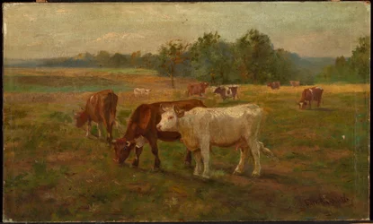 Tehenek