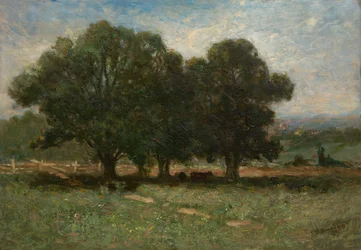 Táj, 1899.