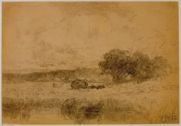 Táj, erdő (#13) c. 1880 (grafit papíron)