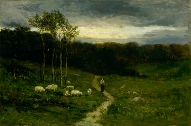 Nő sétál lefelé Path