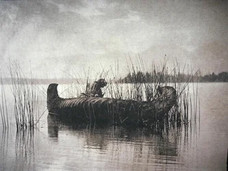 A sásgyűjtő, Montana