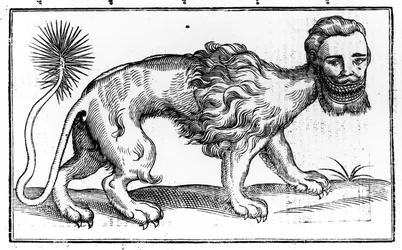 Manticore a Négylábú állatok történelméből, Edward Topselltől, 1607-ben